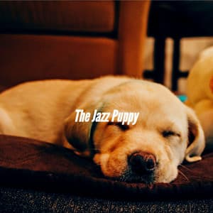 The Jazz Puppy - Calming Dog Jazz Classics