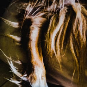 Sounds for Lucy - Byelti