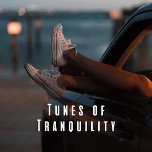 Tunes of Tranquility: Music for Relaxation and Calm - Astral Noise