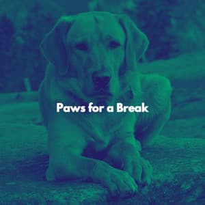 Paws for a Break - Coffee Table Jazz