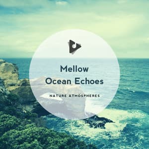 Mellow Ocean Echoes - Nature Sounds ASMR