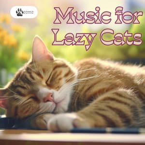 Music for Lazy Cats - PAWsome