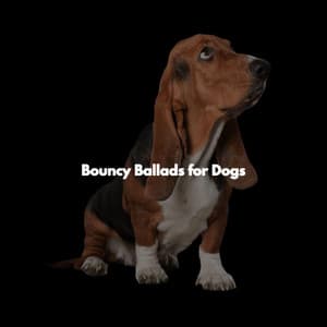 Bouncy Ballads for Dogs - Musik zum Lernen