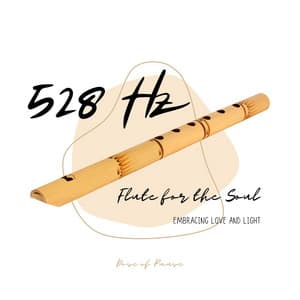 528 Hz Flute for the Soul: Embracing Love and Light - Dose of Pause