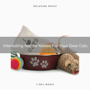 Interesting Nature Noises For Your Dear Cats - Pets Total Relax