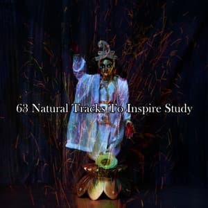 63 Natural Tracks To Inspire Study - Meditation Focus