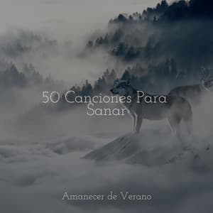50 Canciones Para Sanar - Relajación Meditar Academie