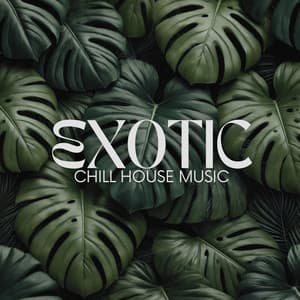 Exotic Chill House Music - Tropical Chill Music Land