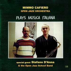 Plays Musica Italiana - Mimmo Cafiero
