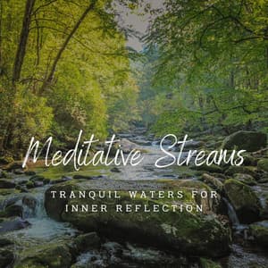 Meditative Streams: Tranquil Waters for Inner Reflection - Waters Of Deluge