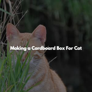 Making a Cardboard Box For Cat - Chill Lounge Music
