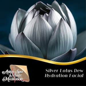 Silver Lotus Dew Hydration Facial - Asian Spa Music Meditation