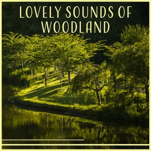 Lovely Sounds of Woodland - Mothers Nature Music Academy