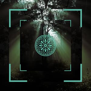 Entspannende Yoga-Lieder - Die schönsten Naturgeräusche