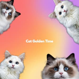 Cat Golden Time - Musique pour Travailler Classiques