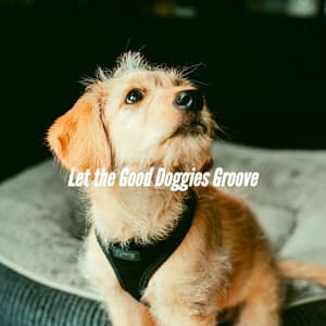 Let the Good Doggies Groove - Dog Music Hour