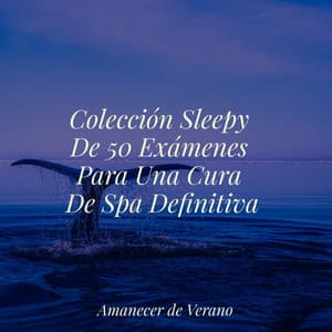 Colección Sleepy De 50 Exámenes Para Una Cura De Spa Definitiva - Música ambiental relajante