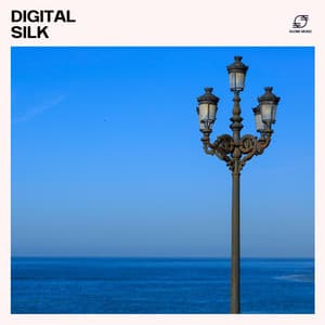 Digital Silk - Deep House Nation