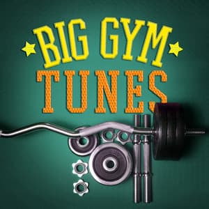 Big Gym Tunes - Dance Workout