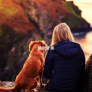 睡眠音楽 - Playliste Travail à Domicile