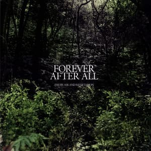 Forever After All - Fresh Air and Meditation