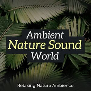 Ambient Nature Sound World - Relaxing Nature Ambience
