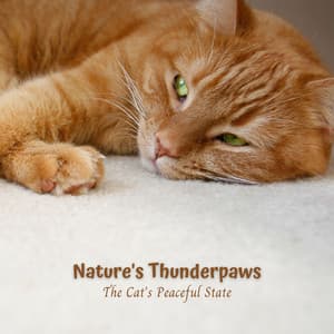 Nature's Thunderpaws: The Cat's Peaceful State - Rain and Thunder Sounds