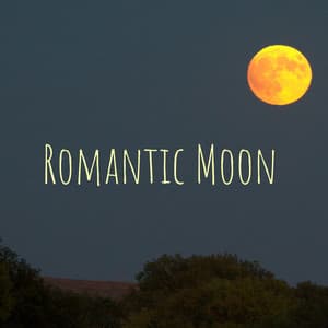 Romantic Moon - Masala Roo
