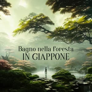 Bagno nella foresta in Giappone - Musica tranquilla accademia