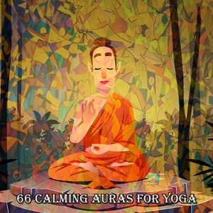 66 Calming Auras For Yoga - Rising Higher Meditation