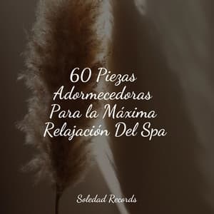 60 Piezas Adormecedoras Para la Máxima Relajación Del Spa - Academia de Música para Massagem e Relaxamento