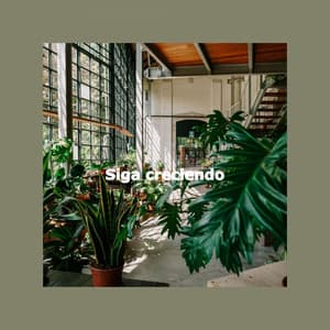 Siga creciendo - Coffee + Chill