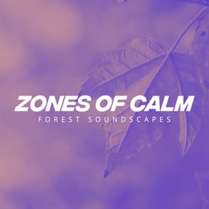 Zones of Calm - Forest Soundscapes