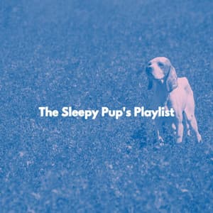 The Sleepy Pup's Playlist - Jazz for Work Classics