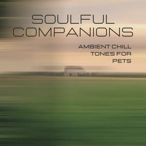 Soulful Companions: Ambient Chill Tones for Pets - Spiritual Medicine