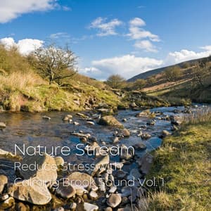 Nature Stream: Reduce Stress with Calming Brook Sound Vol. 1 - The Nature Project