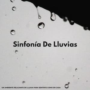 Sinfonía De Lluvias: Un Ambiente Relajante De Lluvia Para Sentirte Como En Casa - Llover fuerte