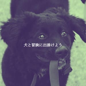 犬と冒険に出掛けよう - Frühstücksmusik