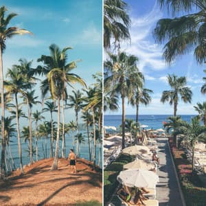 Spring Vacations - Restaurant Music Lounge