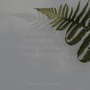 50 Sonidos De La Naturaleza - 50 Músicas Tranquilas Para Adormecerte - Relaxing Spa Music