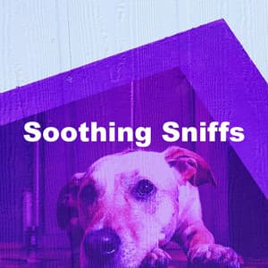 Soothing Sniffs - Relaxmydog