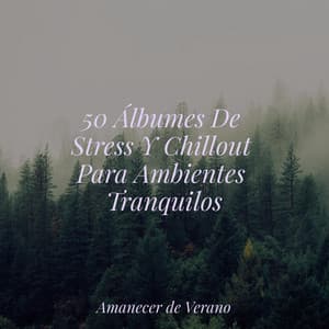 50 Álbumes De Stress Y Chillout Para Ambientes Tranquilos - Meditation Spa