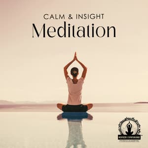 Calm & Insight Meditation: Bring Peace To Your Heart, Achieve A Deeper Understanding, Balance Of Mind - Meditação e Espiritualidade Musica Academia