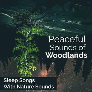 Peaceful Sounds of Woodlands - Sleep Songs with Nature Sounds