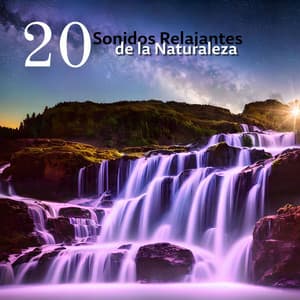 20 Sonidos Relajantes de la Naturaleza: Aguas Calmantes y Ruidos de la Tierra para Mejorar la Meditación y el Sueño - Instancia Naturales