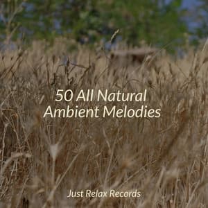 50 All Natural Ambient Melodies - Nature Sound Collection