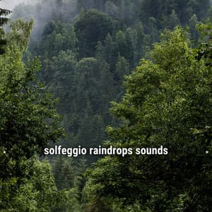 * solfeggio raindrops sounds * - Lightning, Thunder and Rain Storm