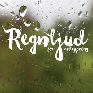 Regnljud för avslappning - Regnljud