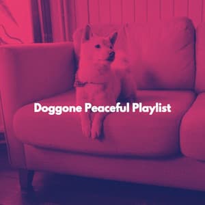 Doggone Peaceful Playlist - Allegro Jazz Rilassante