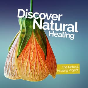 Discover Natural Healing - The Natural Healing Project